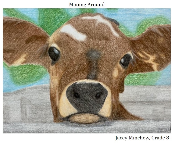 Brown Calf